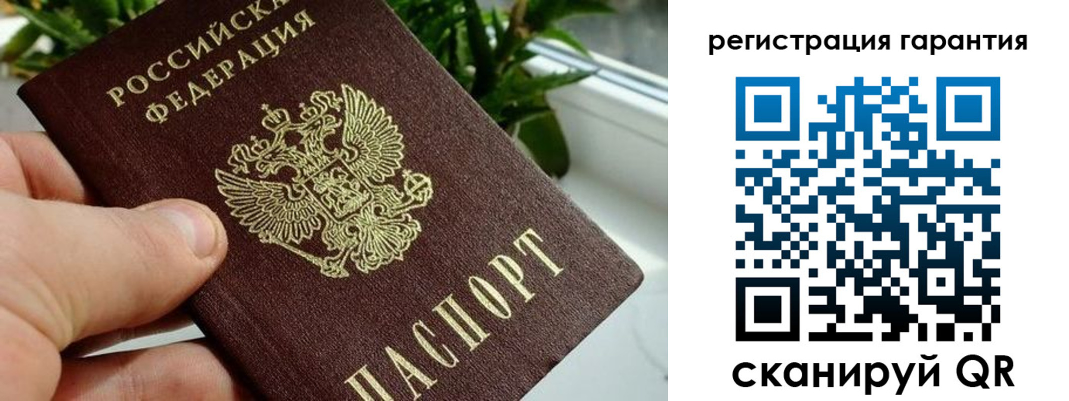 временная регистрация надежно в Волхове
